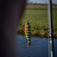 Fox Rage Replicant Swim 18cm